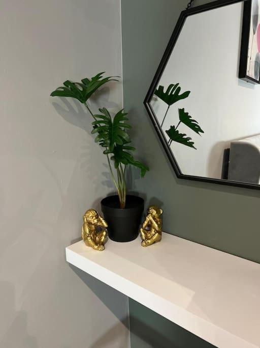 Peaceful & Stylish Brighton Studio Apartment Buitenkant foto